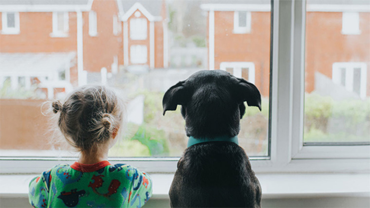 Child and their dog looking out a window.