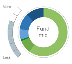 Fund pie to show Global Share Fund. 25 percent in emerging market shares, 25 percent in UK shares, 50 percent in overseas shares.